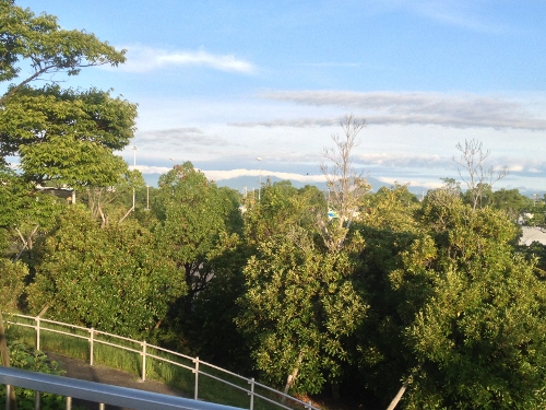 小田原の山風景